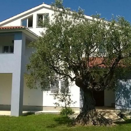Apartments Villa Ulivo - Apartment Sol Fažana Exterior foto