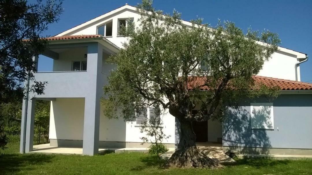 Apartments Villa Ulivo - Apartment Sol Fažana Exterior foto
